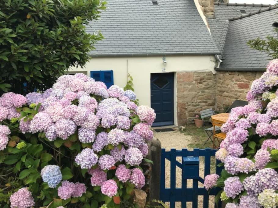 Charmante Maison De Pecheurs Trébeurden Buitenkant foto